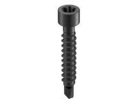 GS Terrassen Samovrtný šroub válcová hlava, A2, černá, pr. 4,2 x 28 mm, 100 ks
