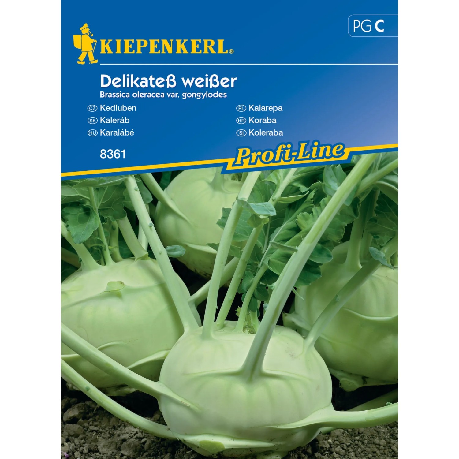 Kiepenkerl Semínka Kedluben Delikateß weißer