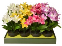 EverGreen Umělá květina lilie velkokvětá v květináči, různé druhy, 30 cm EverGreen Umělá květina lilie velkokvětá v květináči, různé druhy, 30 cm