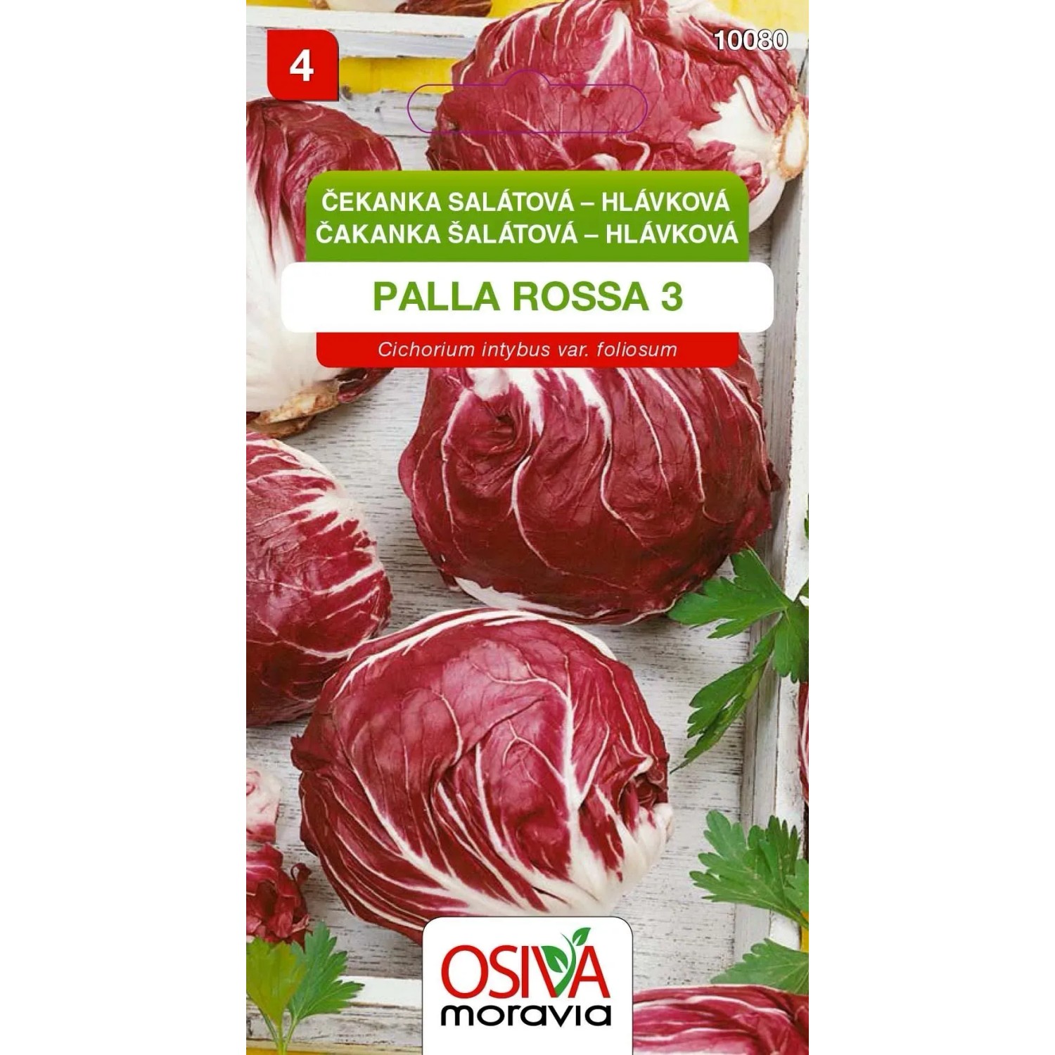 Semínka Čekanka salátová hlávková Palla Rossa 3 (Cichorium intybus var. foliosum