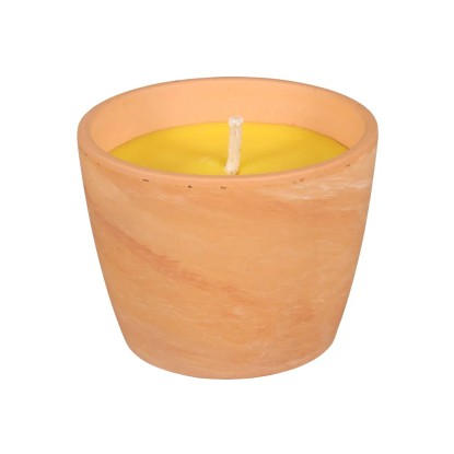 NOHEL GARDEN Citronella Svíčka Guzmania, 10 x 8 cm