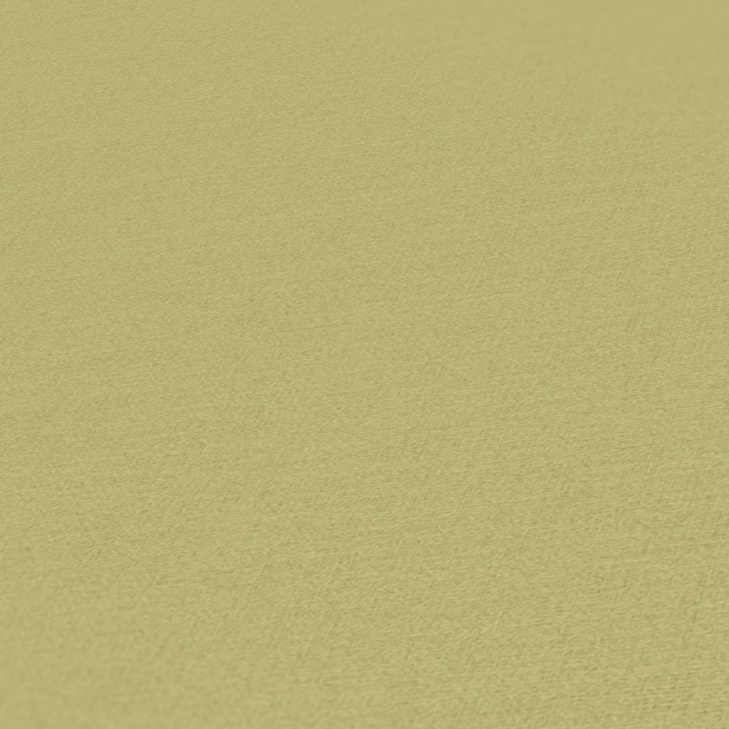 A. S. Creation Vliesová tapeta Antigua Colourful World světle zelená