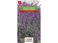 Semínka Levandule lékařská (Levandula angustifolia) Semínka Levandule lékařská (Levandula angustifolia)