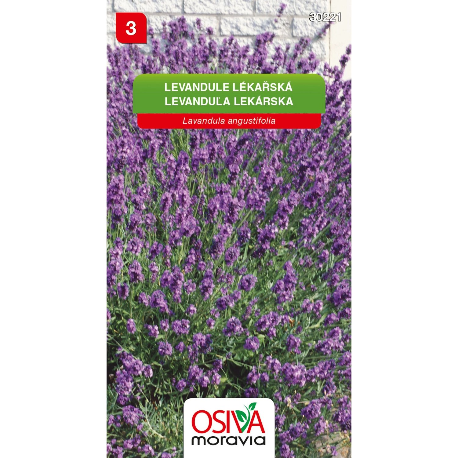 Semínka Levandule lékařská (Levandula angustifolia)