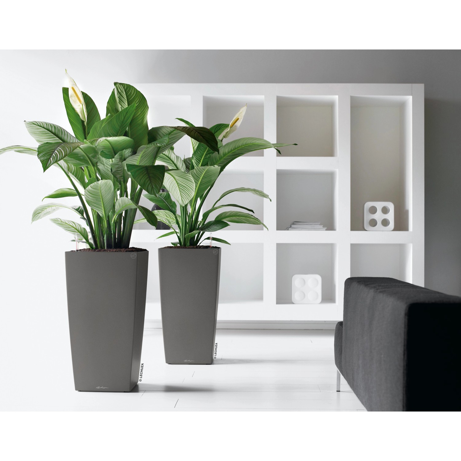 Lechuza Color 22 Juego completo de jarrones cúbicos shop Color Blanco Dimensión 22 cm