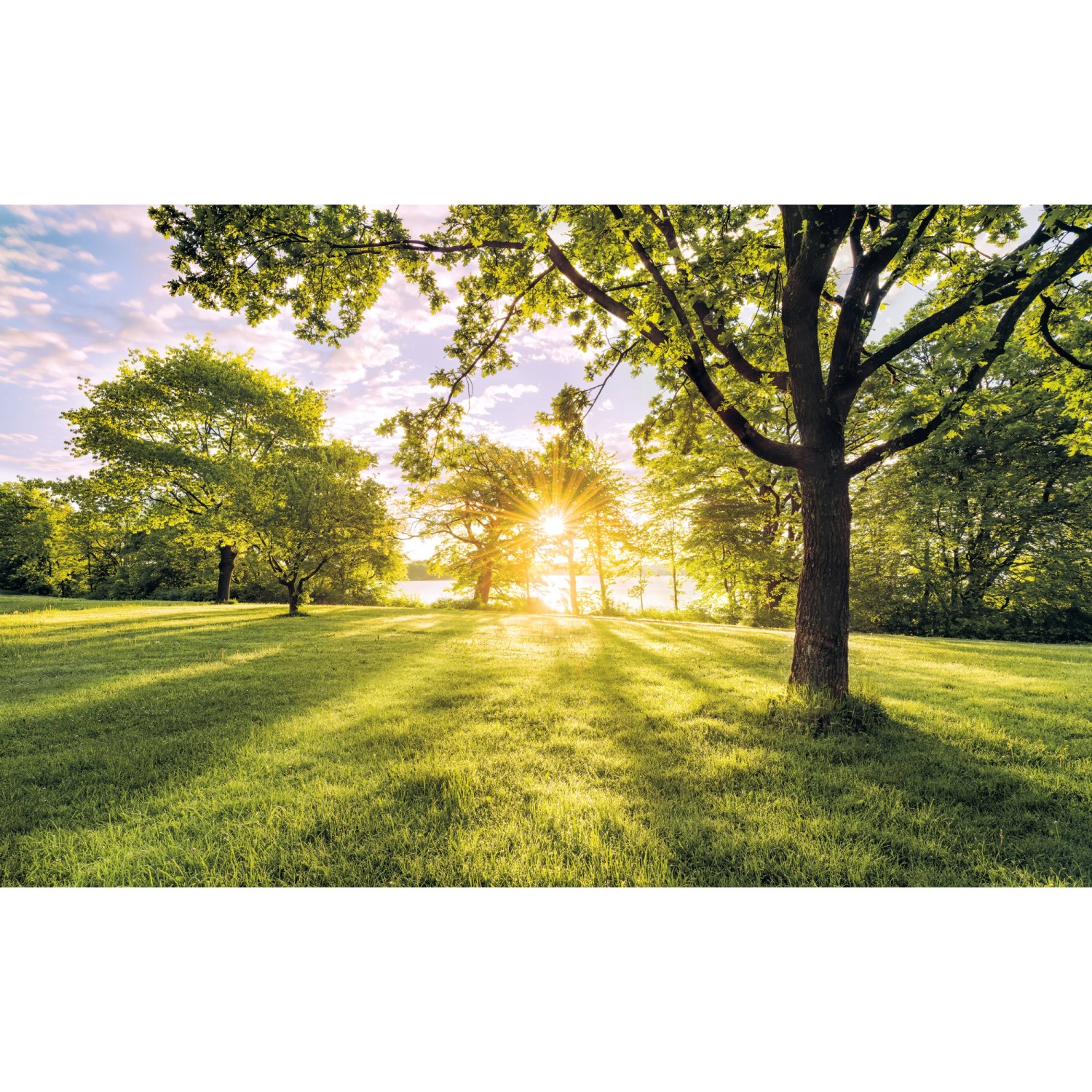 Komar Vliesová fototapeta Golden Moment 400 x 250 cm