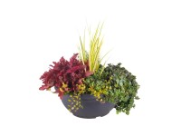 Podzimní mix rostlin Fall in Love, pr. misky 19 cm