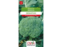 Semínka Brokolice Sebastian (Brassica oleracea var. italica)