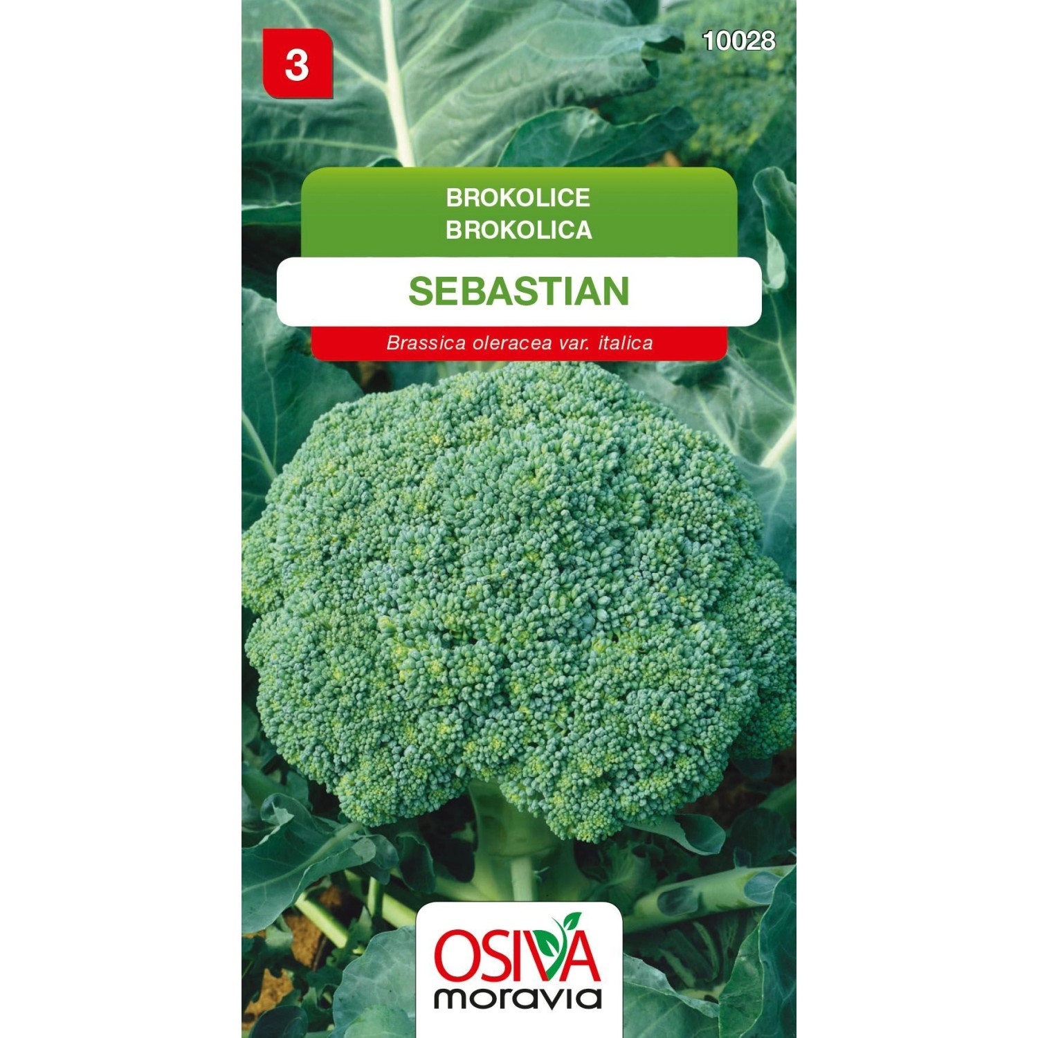 Semínka Brokolice Sebastian (Brassica oleracea var. italica)