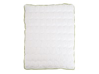 B.E.S. Přikrývka Bella Standard Aloe vera 140 x 200 cm B.E.S. Přikrývka Bella Standard Aloe vera 140 x 200 cm