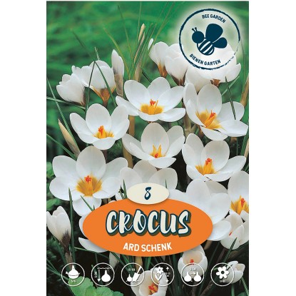 Krokus divoký Ard Schenk
