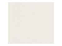 A. S. Creation Přetíratelná vliesová tapeta Meistervlies Creativ bílá 182418 A. S. Creation Přetíratelná vliesová tapeta Meistervlies Creativ bílá 182418