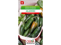 Paprika Zeleninová - pálivá - Jalapeňo (Capsicum annuum L.)