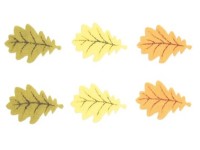 List dubu filcový na kolíčku mix barev 5 cm, 6 ks List dubu filcový na kolíčku mix barev 5 cm, 6 ks