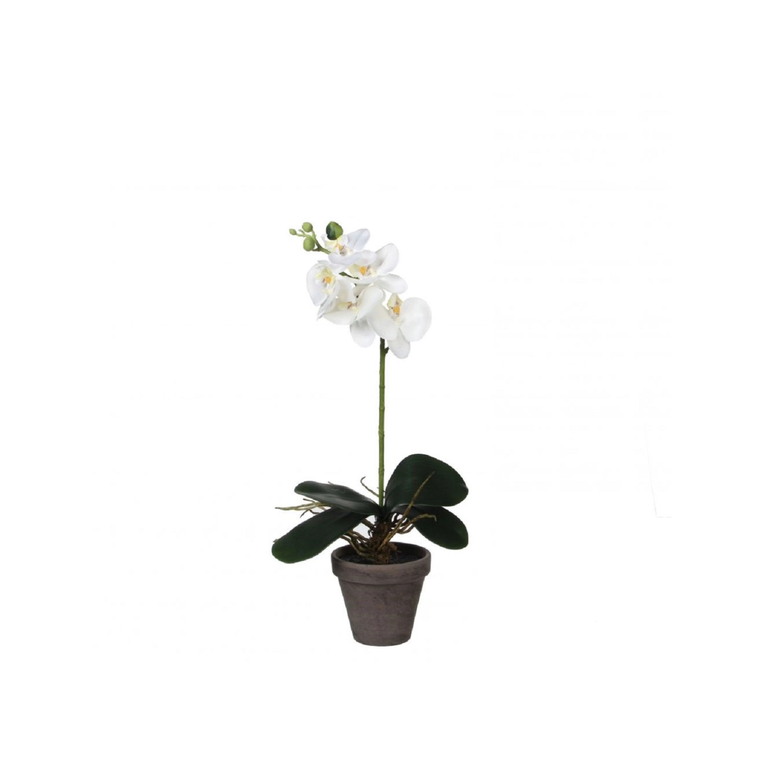 Mica Decorations Umělá orchidej bíla 48 cm