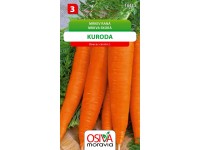 Mrkev Raná - Kuroda (Daucus carota L.)