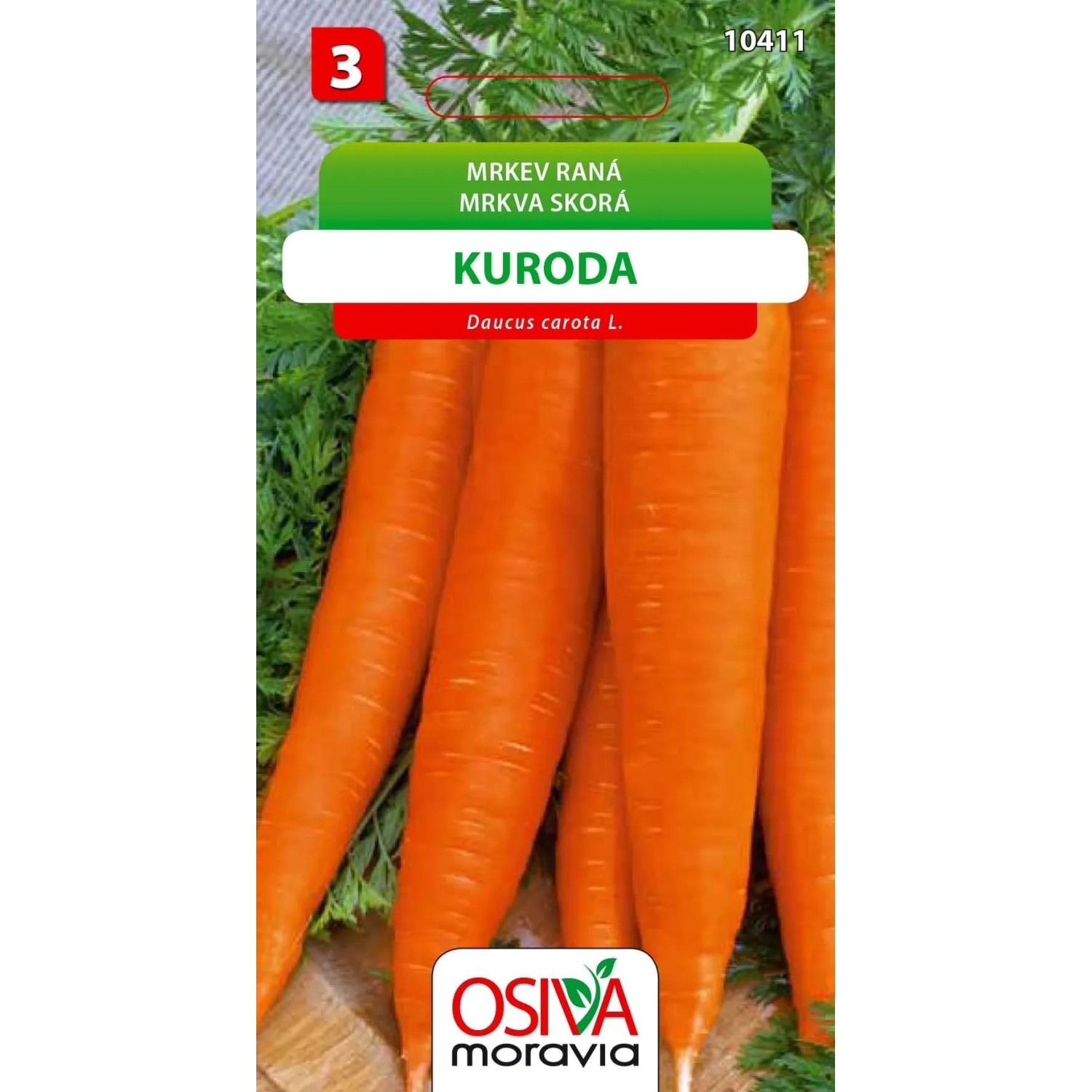 Mrkev Raná - Kuroda (Daucus carota L.)