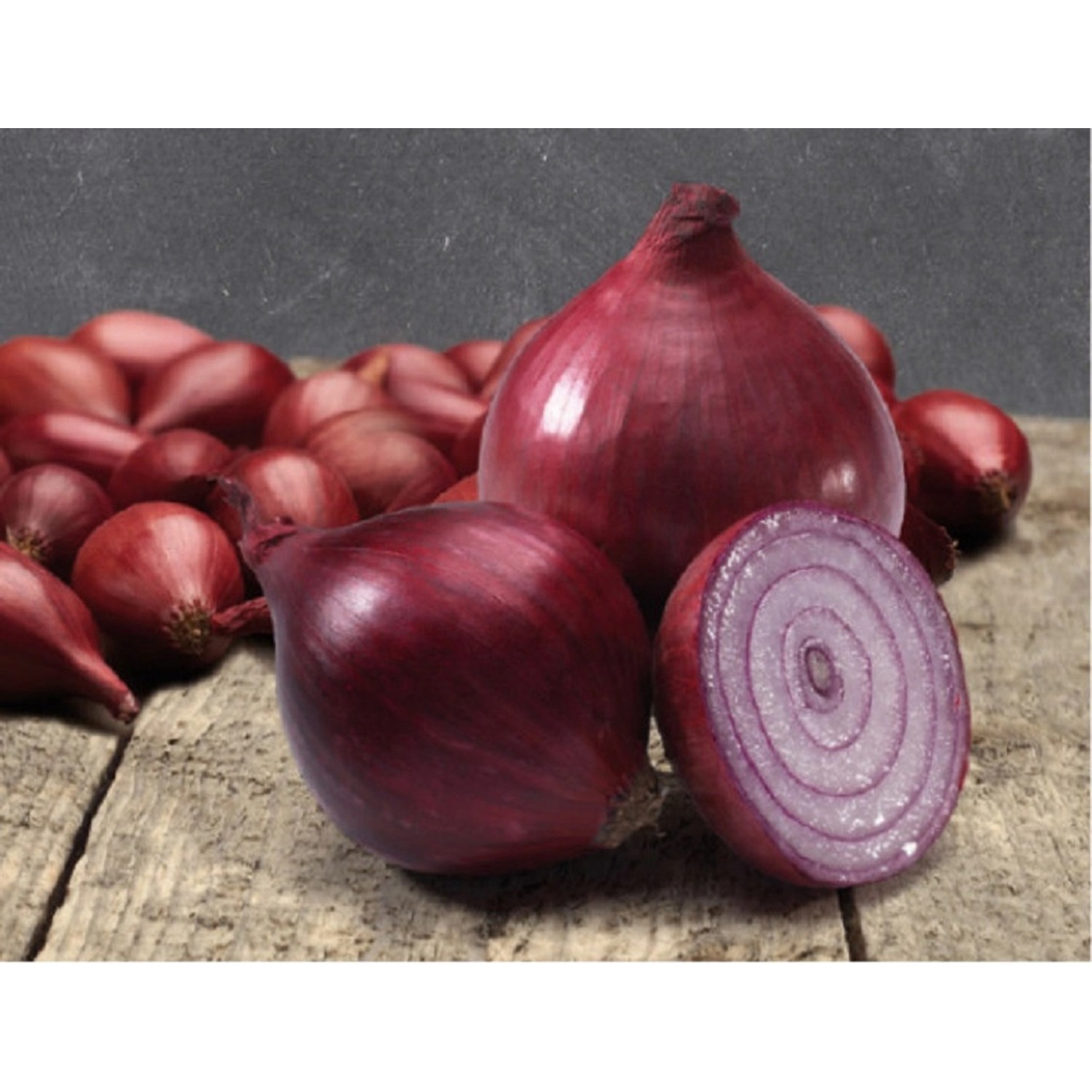 GardenSeed Premium Cibule sazečka Red Kamal, 250 g