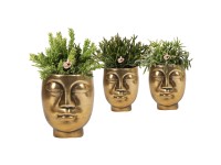 Korálový kaktus (Rhipsalis) různé druhy v keramickém květináči 9 cm