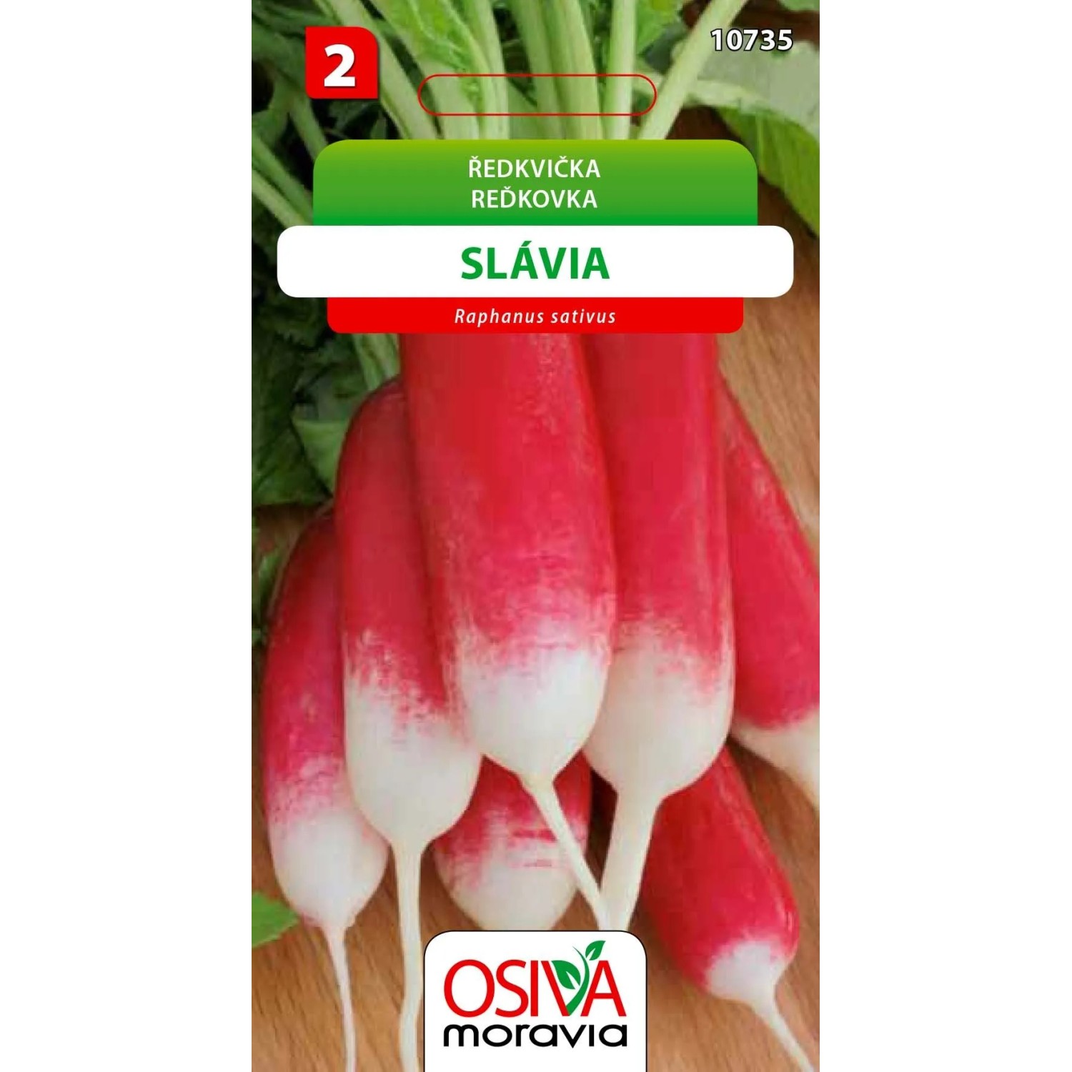 Semínka Ředkvička Slávia (Raphanus sativus)