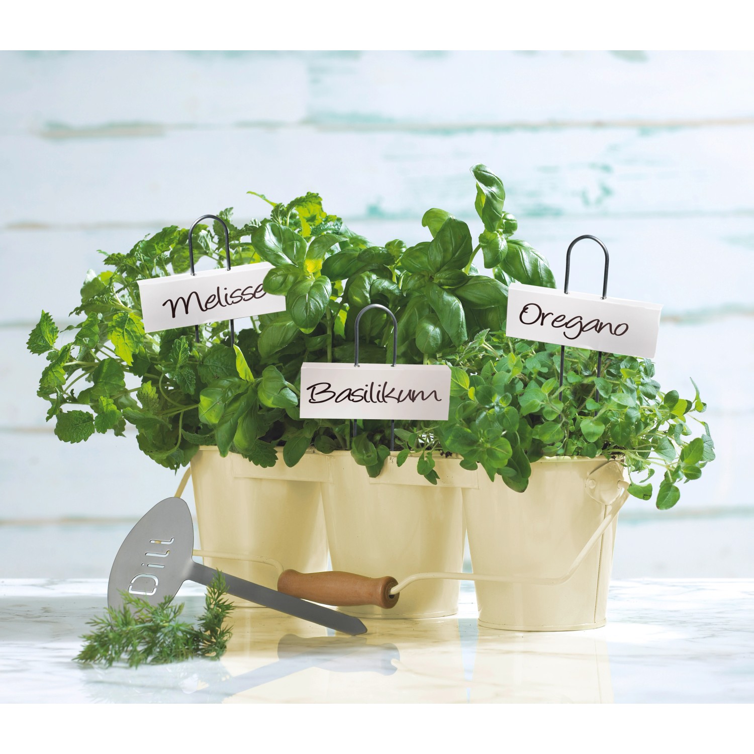 OBI Výsadbové štítky bílé 5 ks