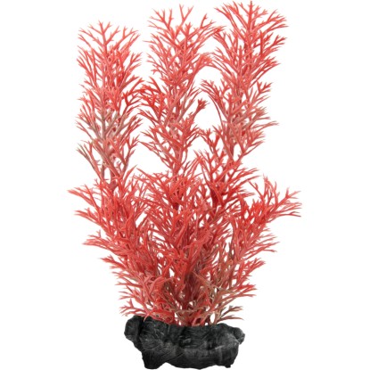 Tetra Rostlina do akvária Foxtail Red S 15 cm