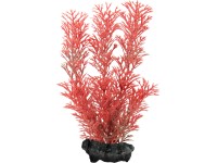 Tetra Rostlina do akvária Foxtail Red S 15 cm