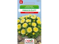 Semínka Astra čínská Pinnocio žlutý (Callistephus chinensis)