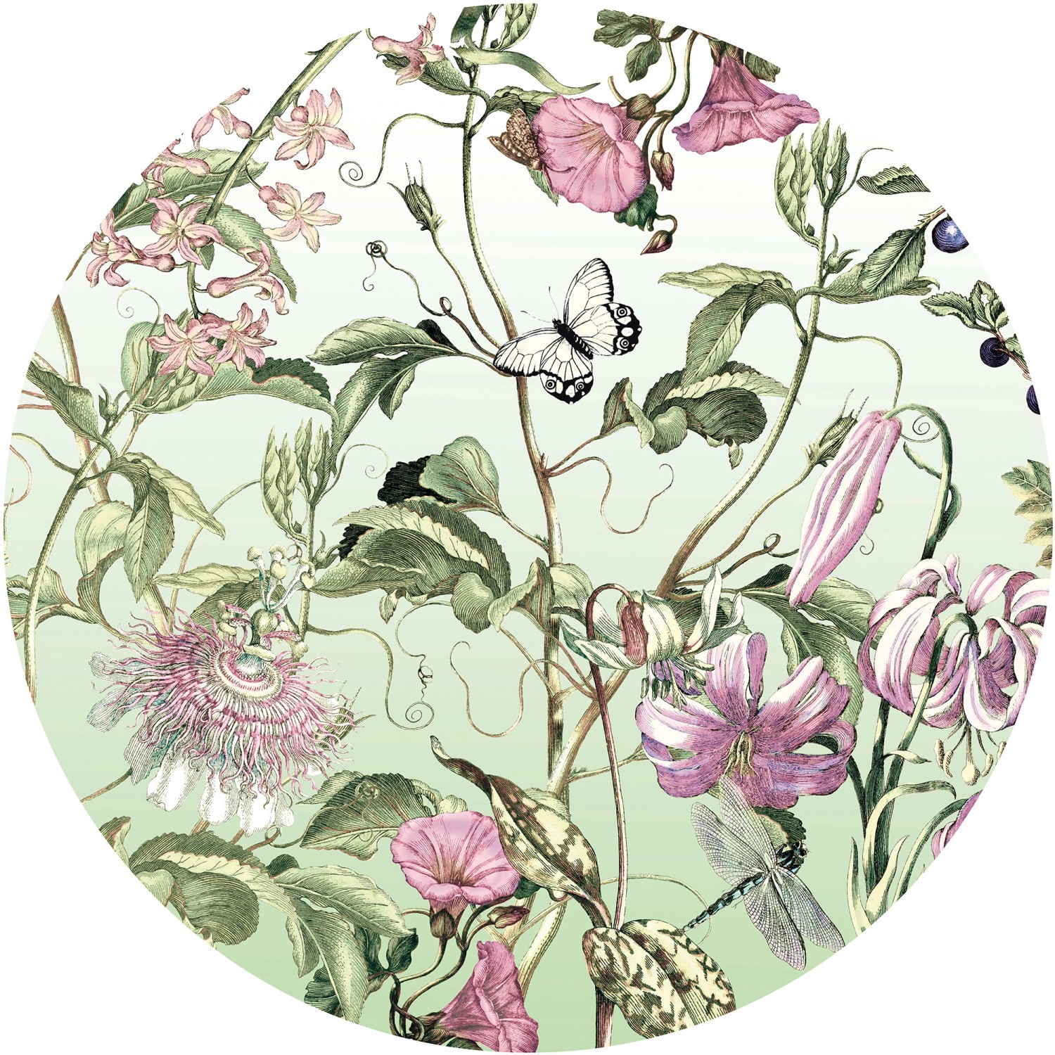 Komar Samolepicí vliesová fototapeta Dot Louloudi pr. 125 cm