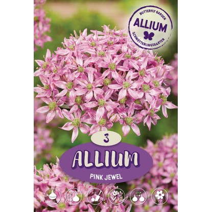 Okrasný česnek (Allium cristophii) Pink Jewel