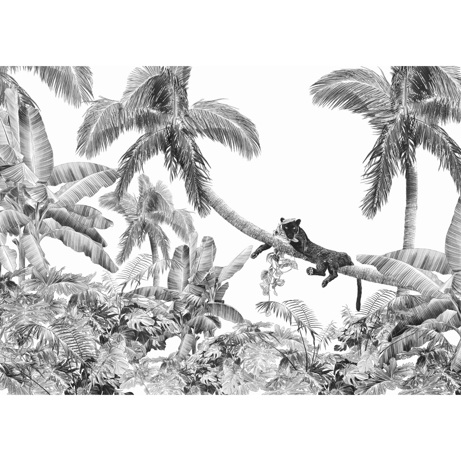 Komar Vliesová fototapeta Black Panther 350 x 250 cm