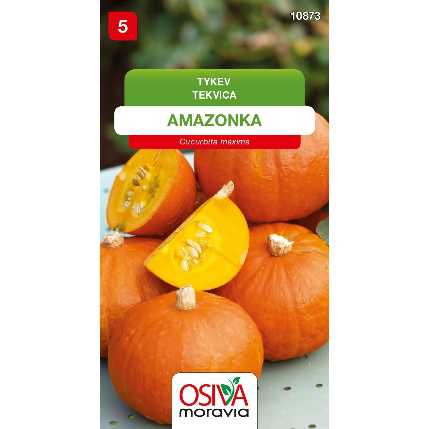 Tykev - Amazonka (Cucurbita maxima)