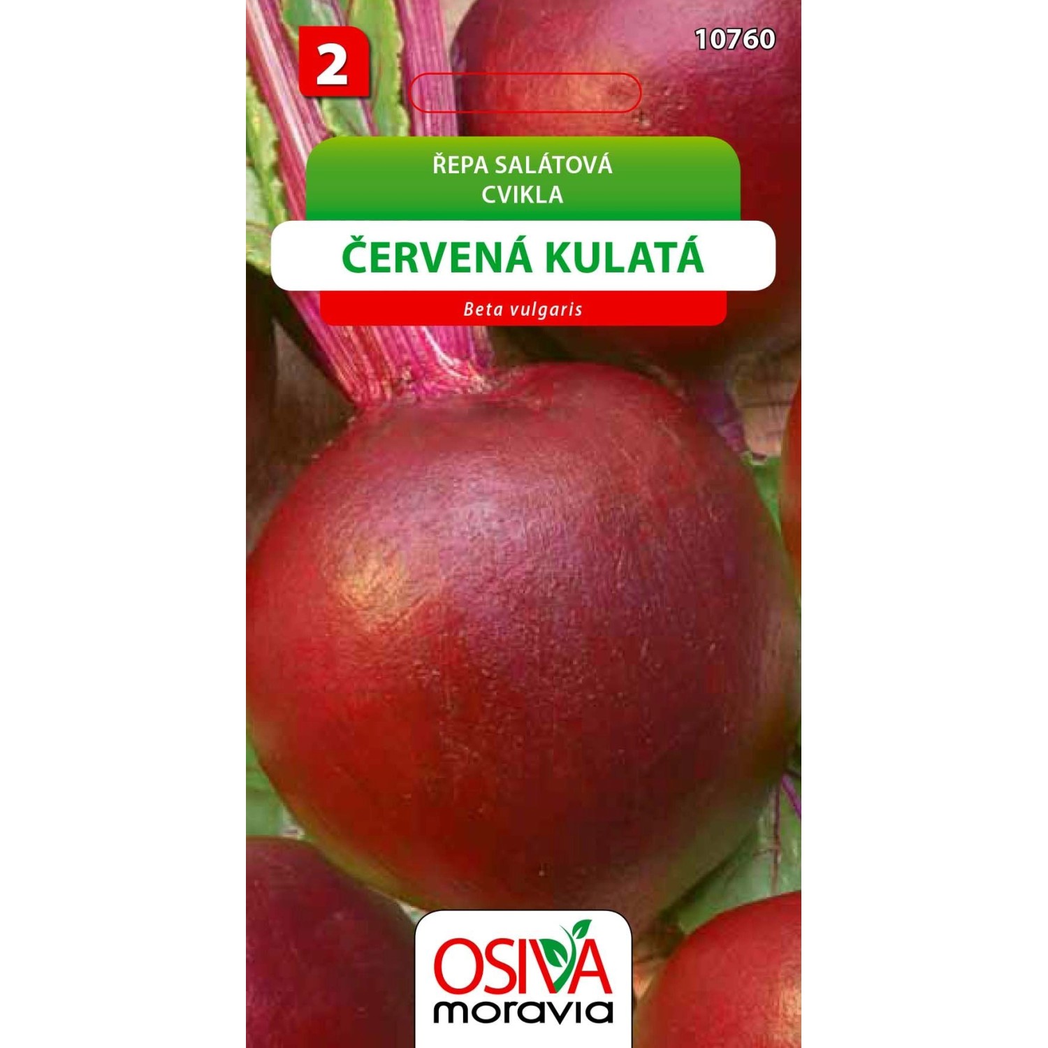 Semínka Řepa salátová Červená kulatá (Beta vulgaris)