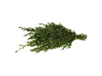 Svazek větví buxus 500 g Svazek větví buxus 500 g