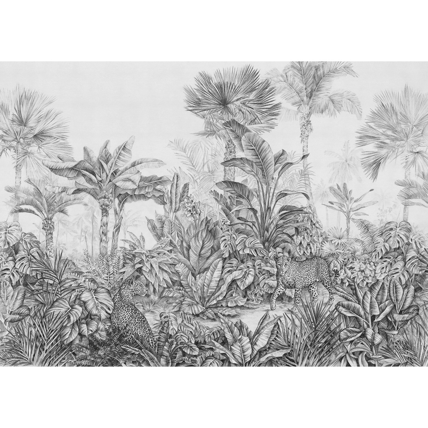 Komar Vliesová fototapeta Léopards 350 x 250 cm