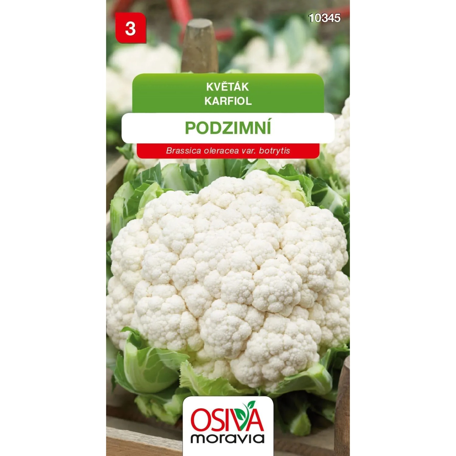 Semínka Květák podzimní (Brassica oleracea var. botrytis)