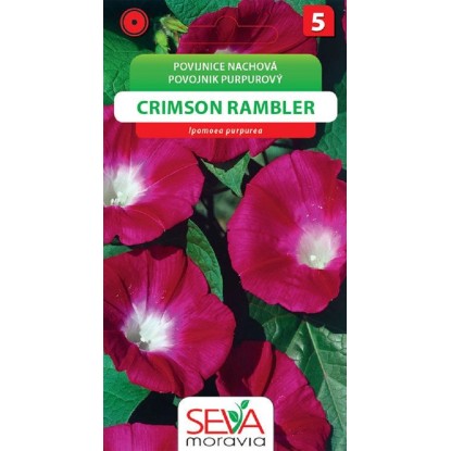 Semínka Povíjnice nachová Crimson Rambler (Ipomoea purpurea)