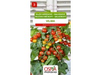 Rajče Keříčkové balkónové - Vilma (Solanum lycopersicum)