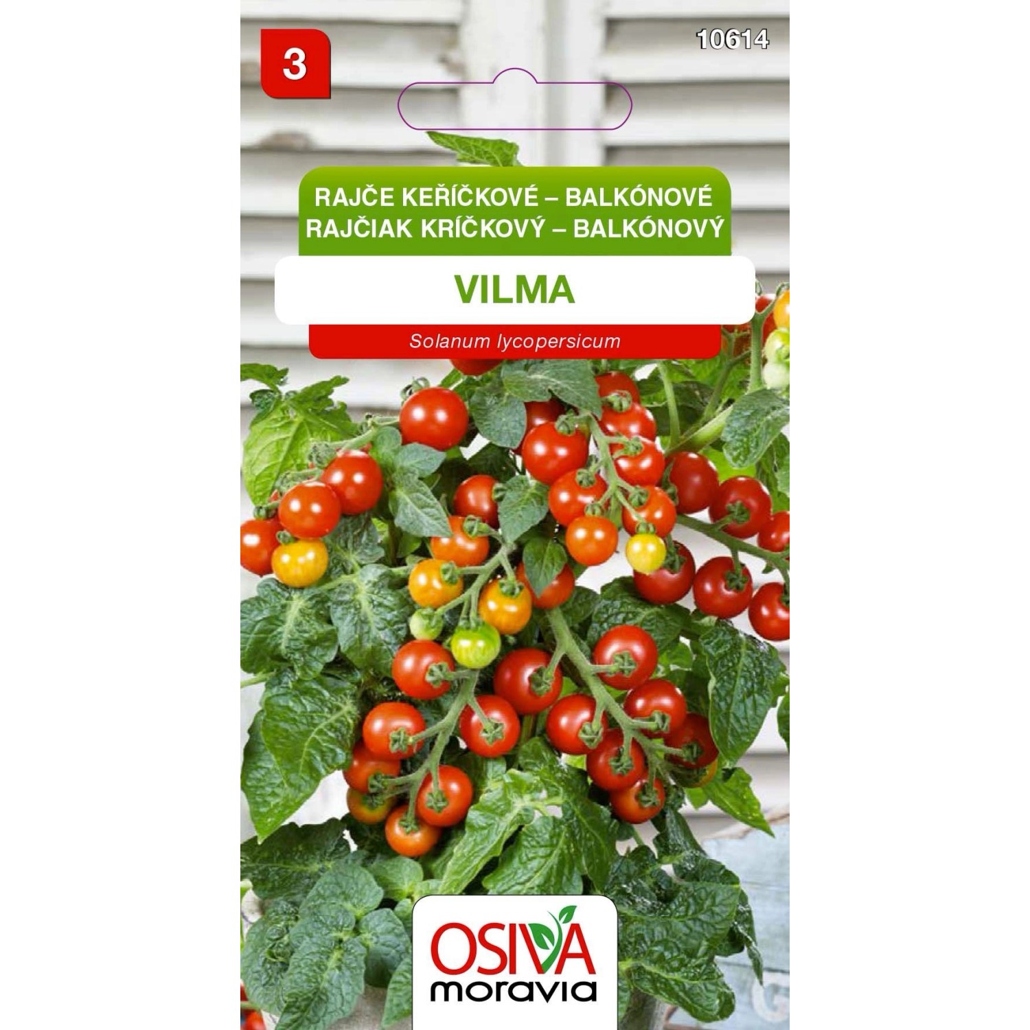Rajče Keříčkové balkónové - Vilma (Solanum lycopersicum)