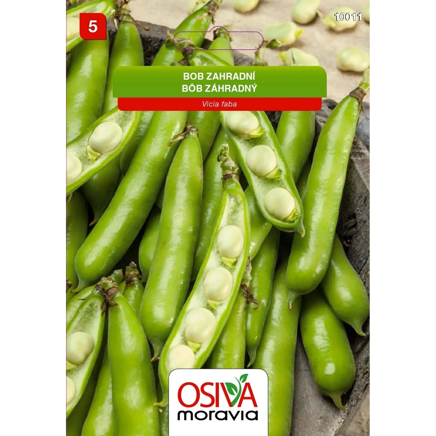 Semínka Bob zahradní (Vicia faba)