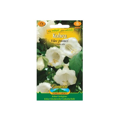 Gardenie Kobea - Vilec pnoucí, bílá