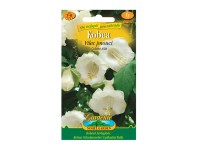 Gardenie Kobea - Vilec pnoucí, bílá