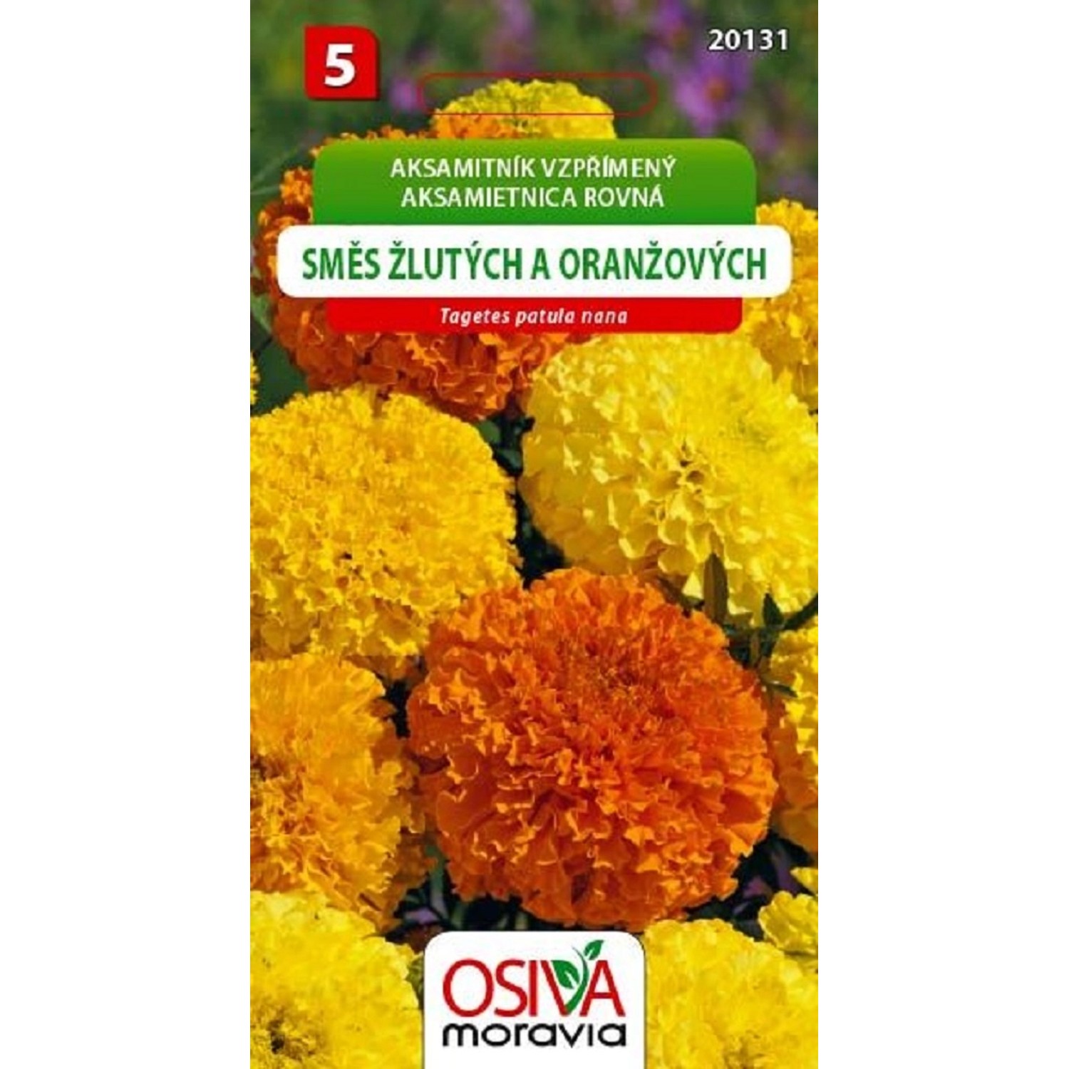 Semínka Aksamitník vzpřímený Směs žlutých a oranžových (Tagetes patula nana)