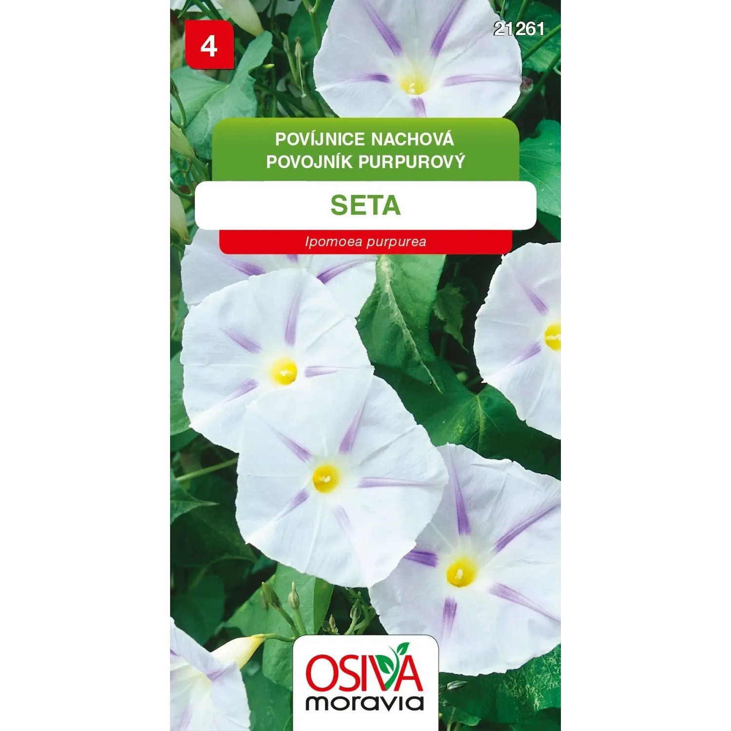 Semínka Povíjnice Nachová - Seta (Ipomoea purpurea)