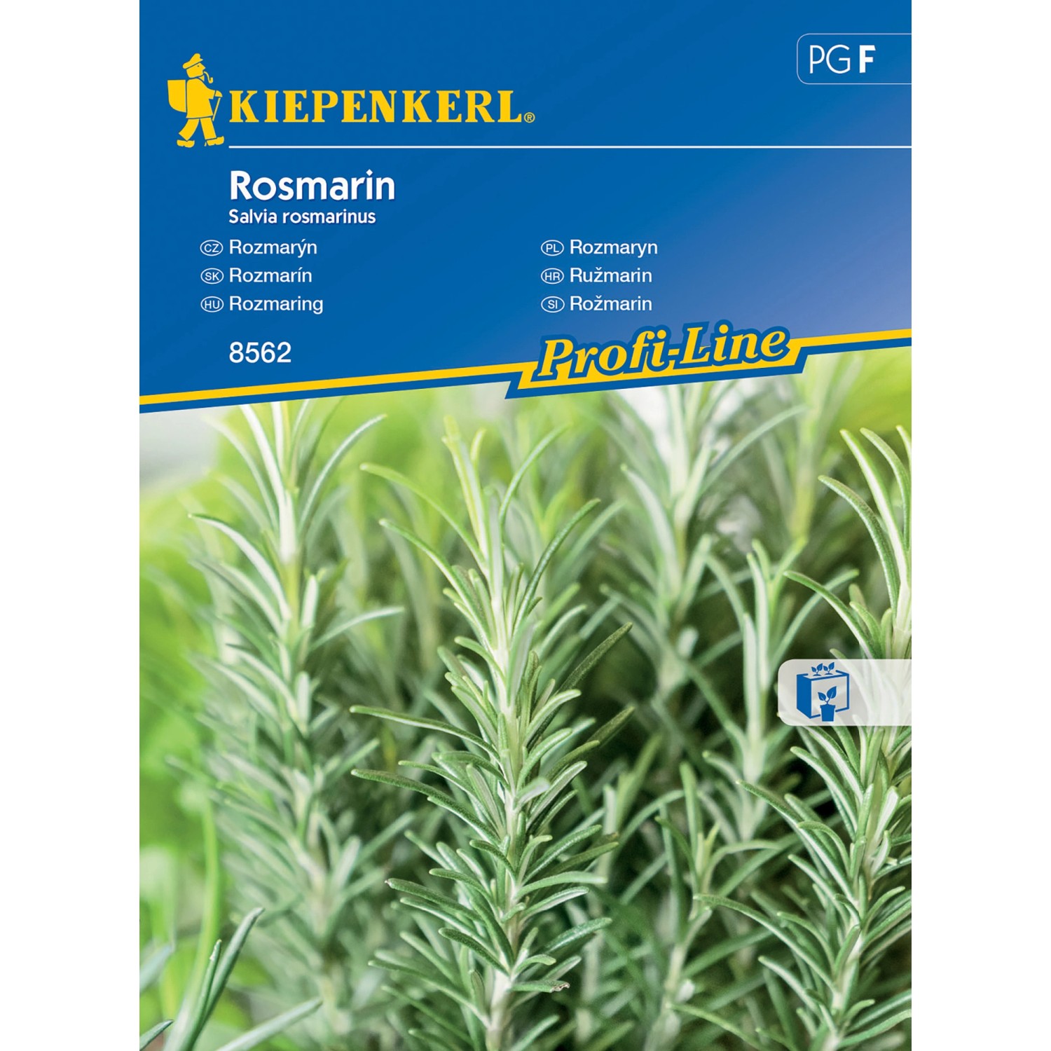 Kiepenkerl Rozmarýn