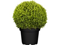 GROW by OBI Zimostráz 