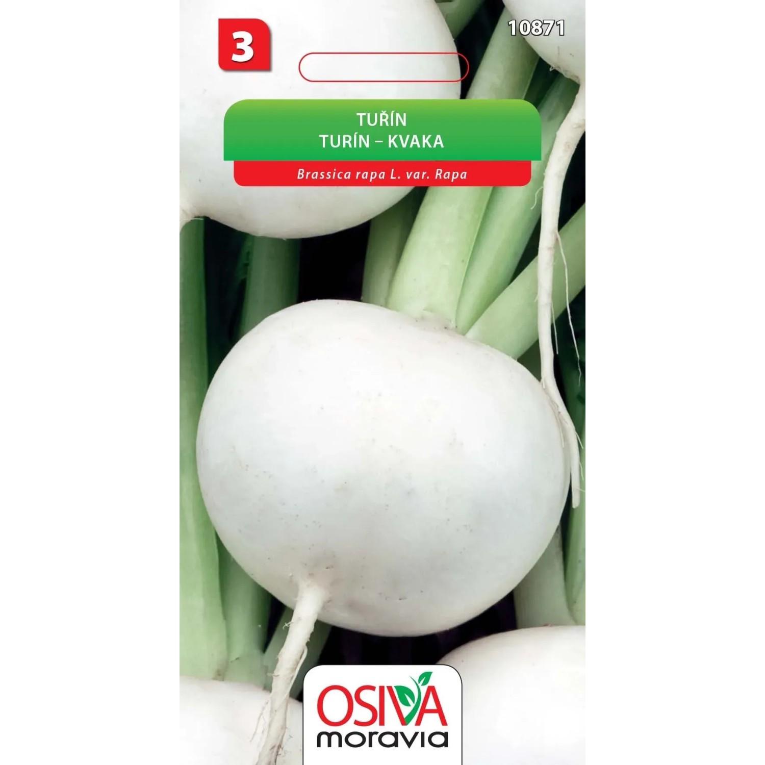 Semínka Tuřín (Brassica rapa L. var. Rapa)