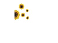 Crearreda Samolepící dekorace Sunflowers Crearreda Samolepící dekorace Sunflowers
