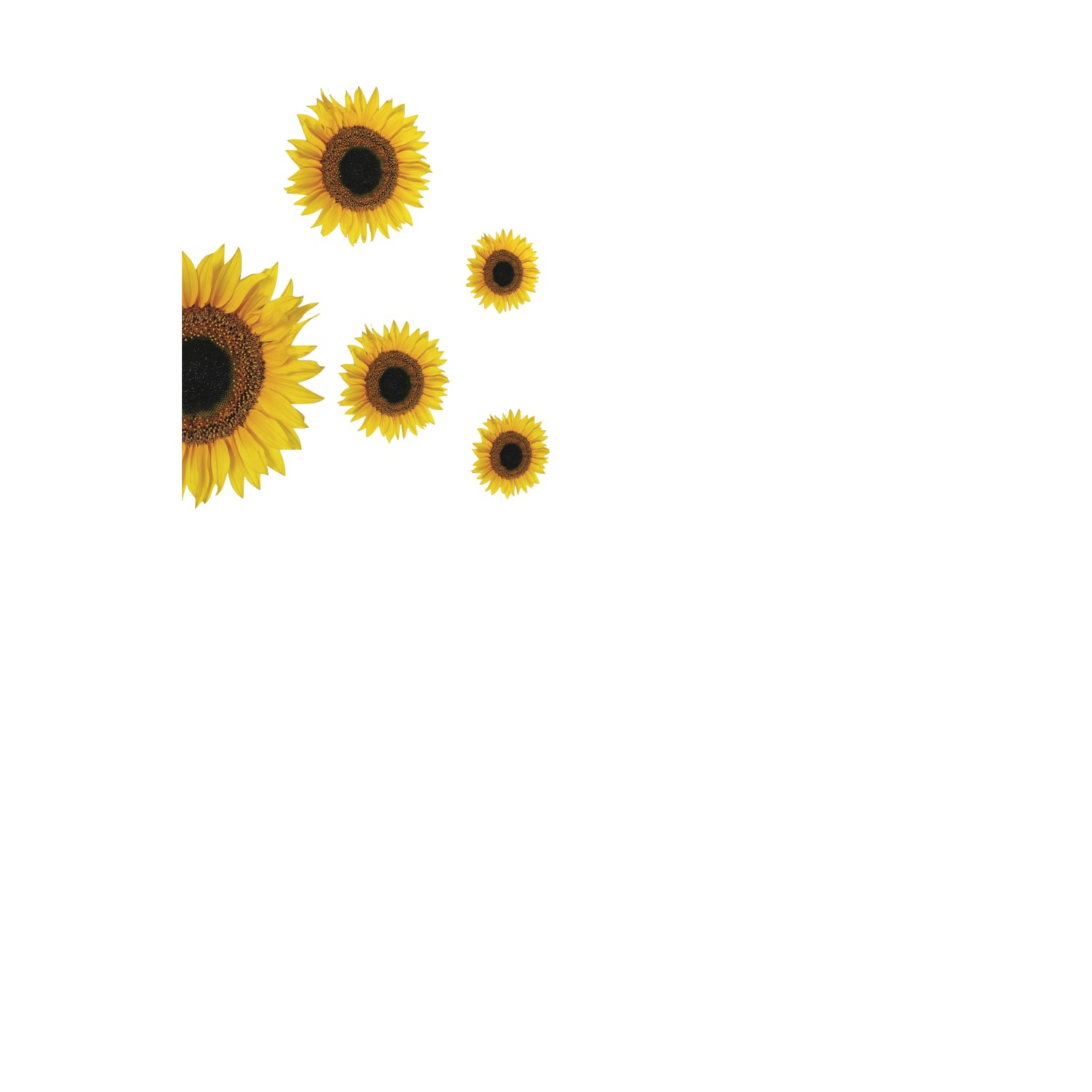 Crearreda Samolepící dekorace Sunflowers