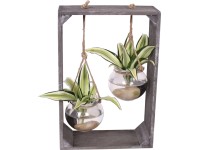 Aranžmá dračince ve skleněné kouli pr. květináče cca 19 cm